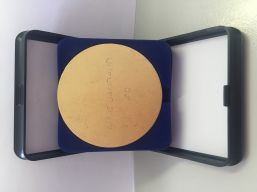 médaille d'or de la Ligue de natation Auvergne Rhône Alpes
